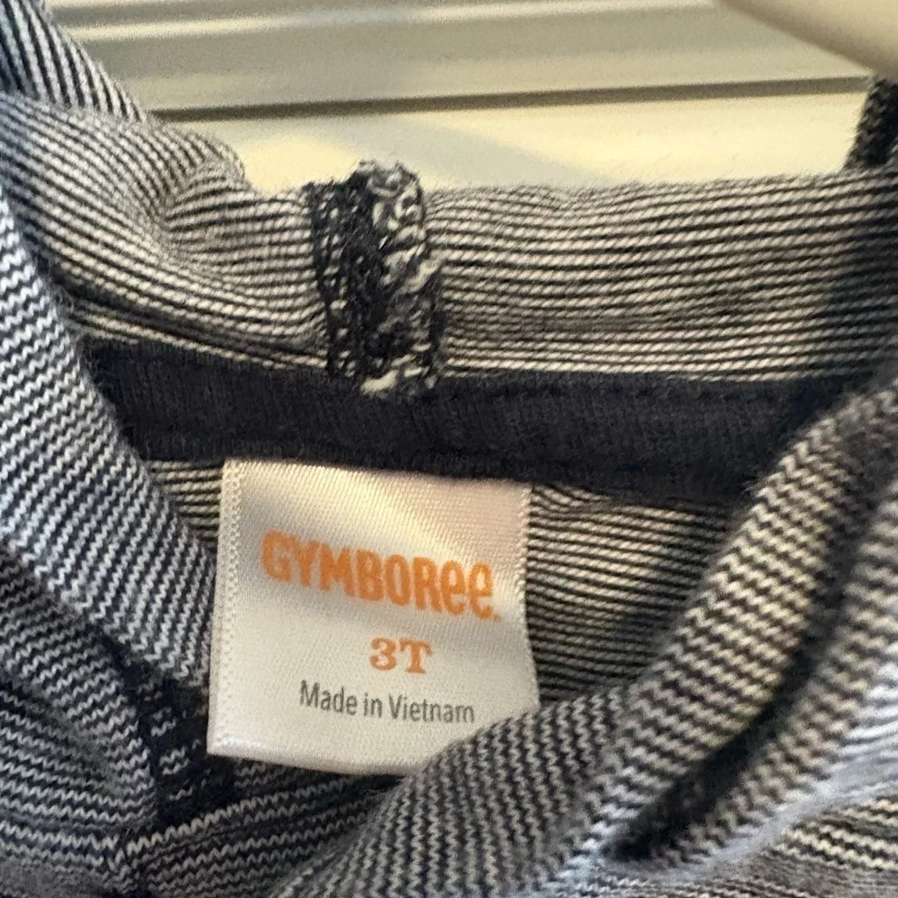 Gymboree Gray Hooded Sweatshirt for Kids